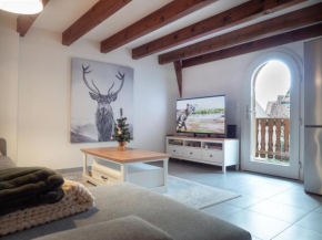 Authentic Apartment on the Alsace Wine Route close to Cycling Trails, Easy Access, Private Garage
